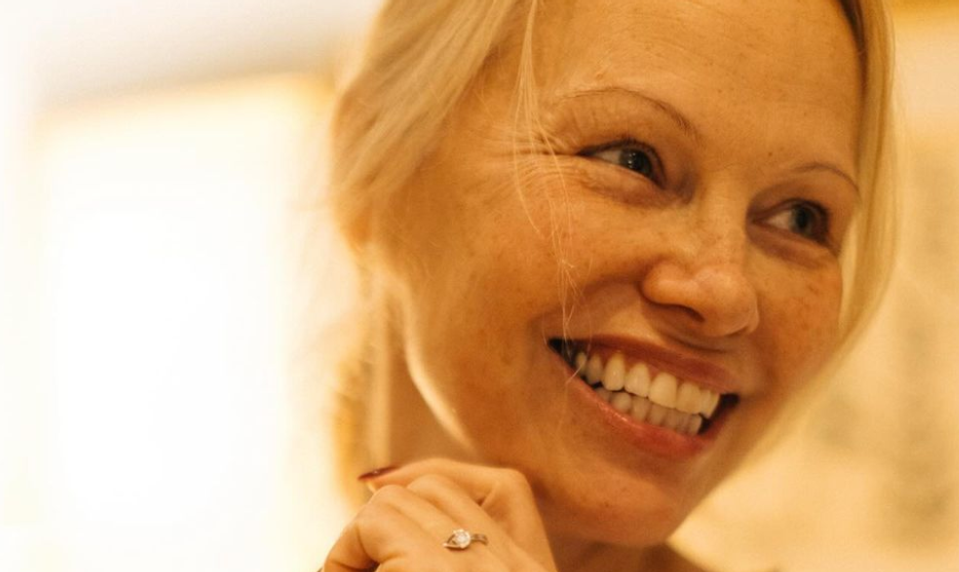 Stará láska nehrdzavie! Hviezdny herec priznal, že sa bláznivo zamiloval do Pamely Anderson!