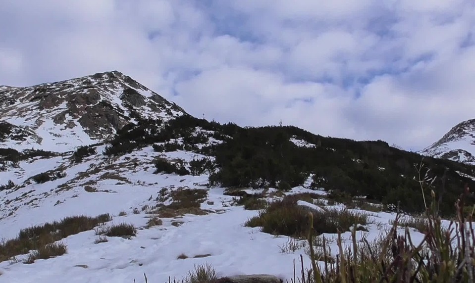 Na Deň hôr prišlo teplo: Žiarska dolina ponúkla jar namiesto zimy