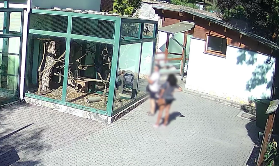 Návštevníci kŕmia zvieratá hotdogmi, langošmi aj pečivom. V ZOO Bojnice zvyšujú kontroly
