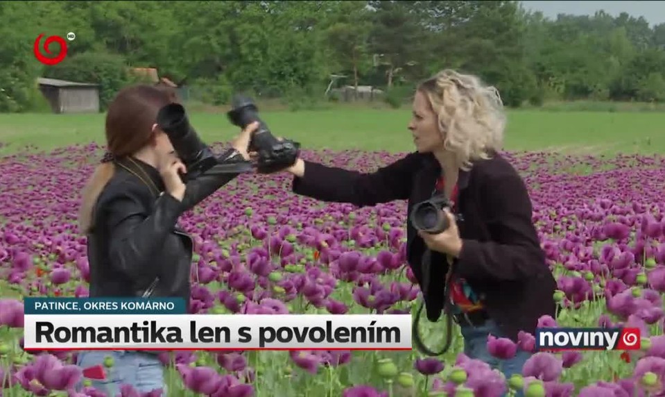 Romantika len s povolením