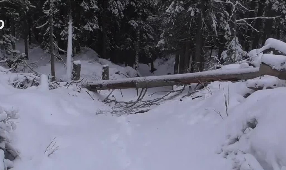 Jar sa v Tatrách odkladá: Lavínové nebezpečenstvo opäť stúpa