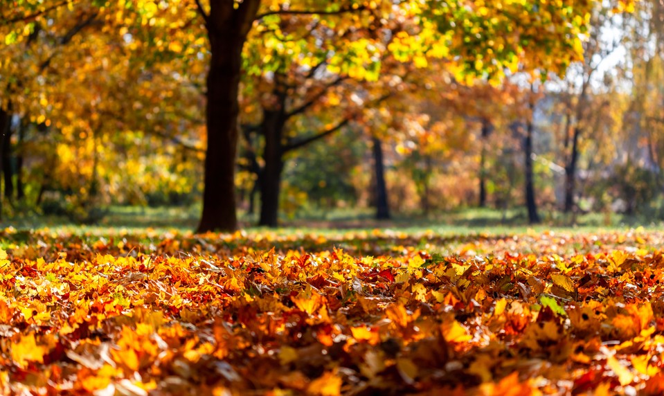 Meteorologická jeseň je tu, prvý školský deň prináša ukážkové počasie