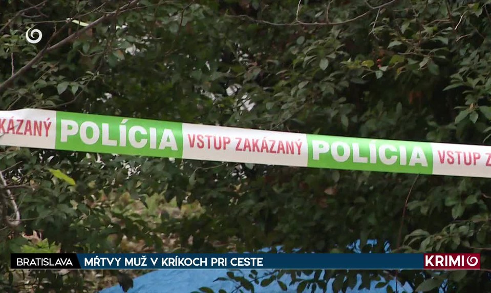 MŔTVY MUŽ V KRÍKOCH PRI CESTE