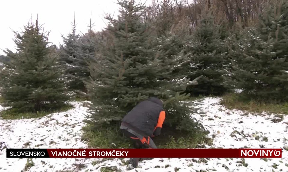 VIANOČNÉ STROMČEKY