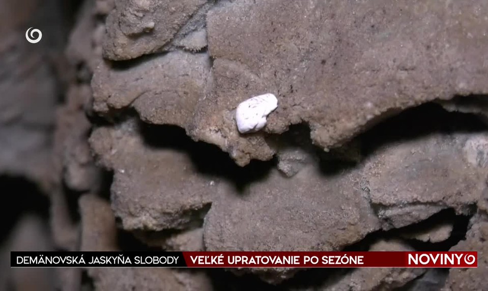 VEĽKÉ UPRATOVANIE PO SEZÓNE