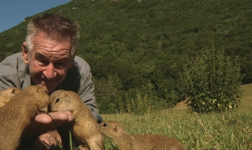 Modré žaby, sysle aj rysy: Britský dokumentarista Nigel Marven dokončil druhý film o Slovensku