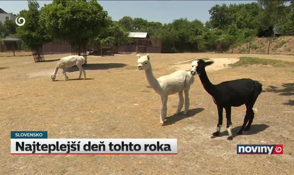 Najteplejší deň tohto roka