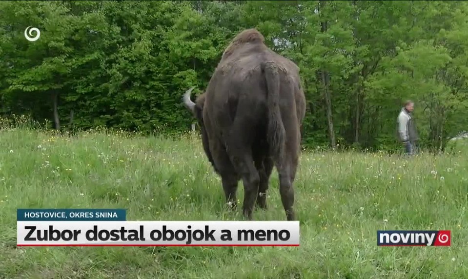 Zubor dostal obojok a meno