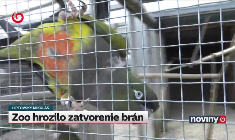 Zoo hrozilo zatvorenie brán
