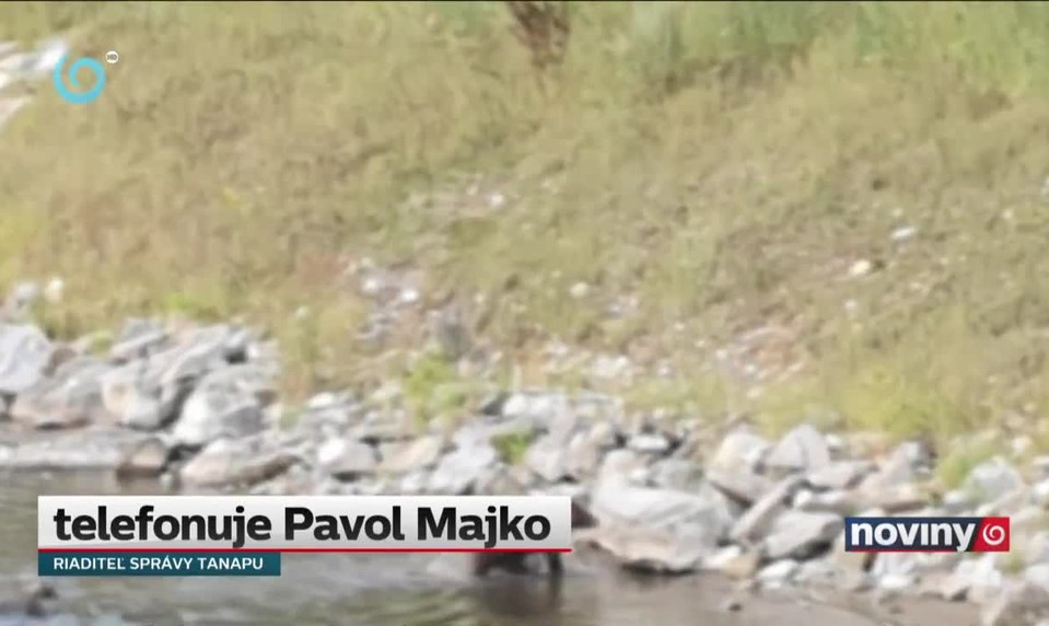 Medvedia rodina vo Váhu