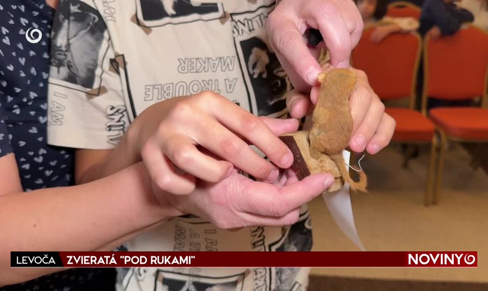 ZVIERATÁ "POD RUKAMI"
