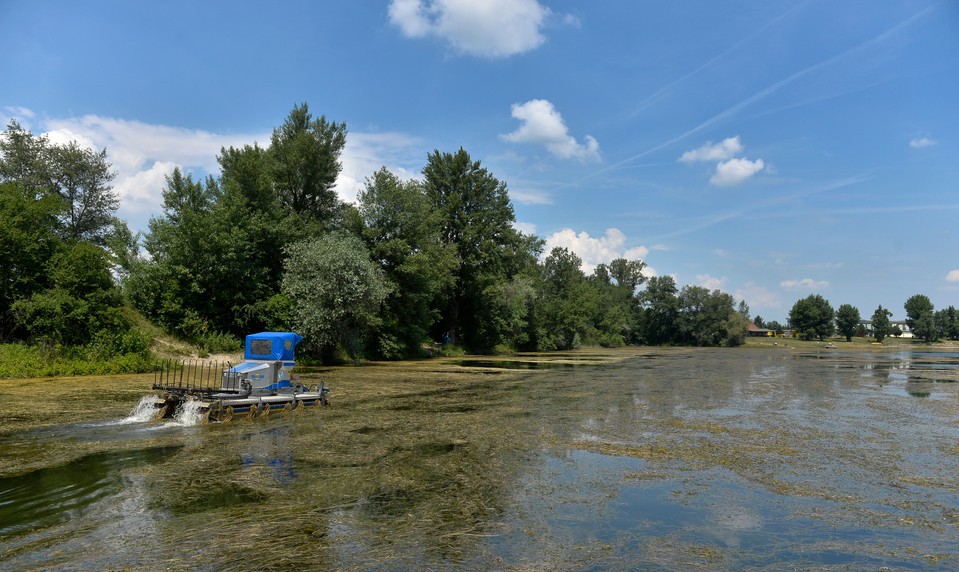 Na Zelenej vode našli mŕtvolu. Prípad rieši polícia