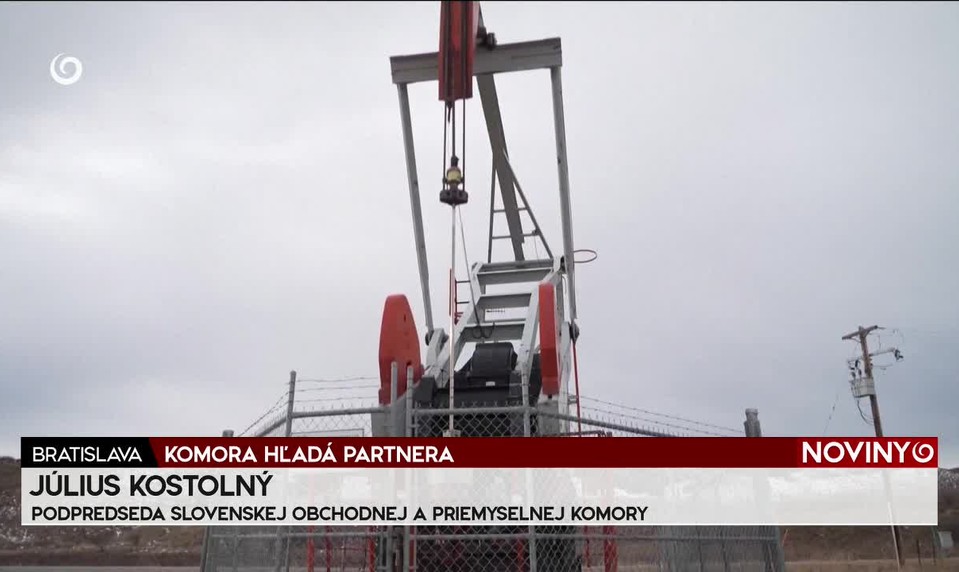 KOMORA HĽADÁ PARTNERA