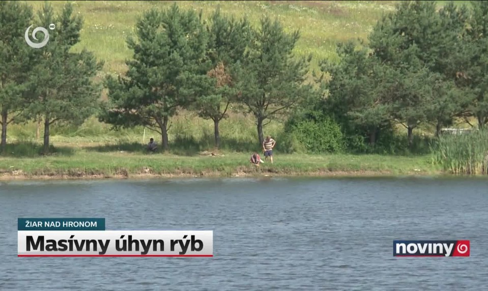 Masívny úhyn rýb