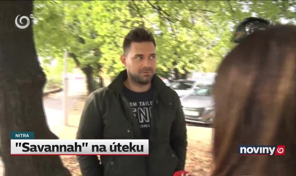 "Savannah" na úteku