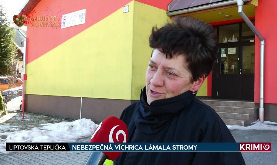 NEBEZPEČNÁ VÍCHRICA LÁMALA STROMY