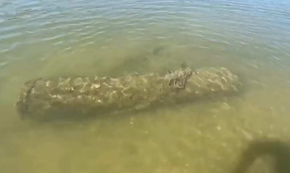 V rieke Dunaj objavili ďalšiu lodnú mínu dlhú približne 2 metre