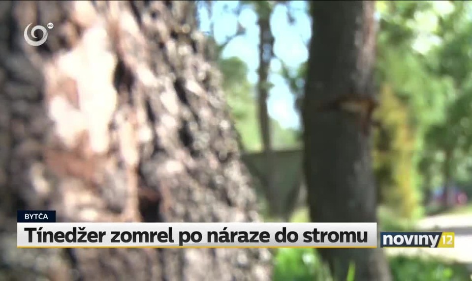 Tínedžer zomrel po náraze do stromu