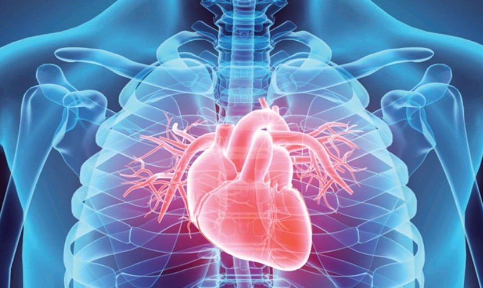 Supermoderný EKG prístroj pomôže deťom i dospelým s chorým srdcom
