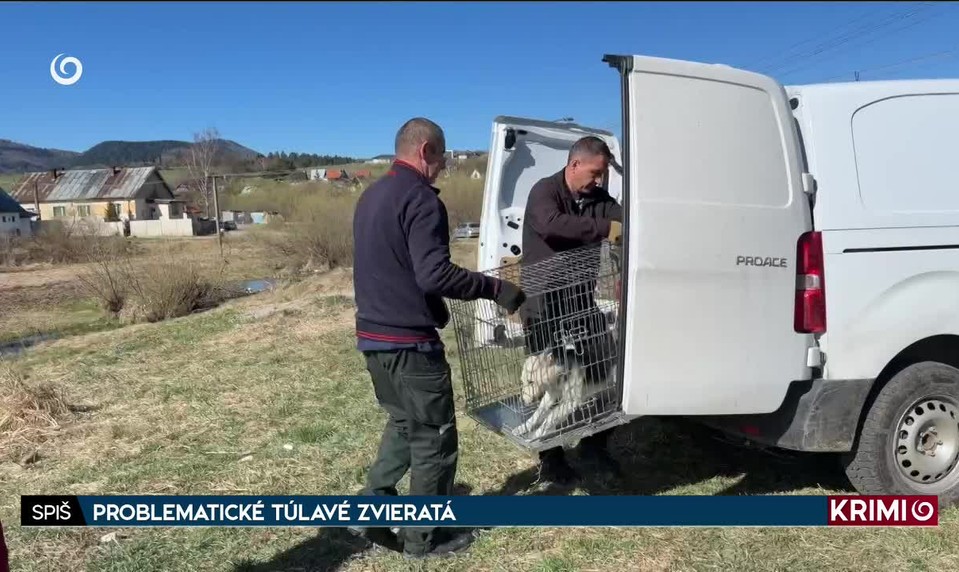 PROBLEMATICKÉ TÚLAVÉ ZVIERATÁ