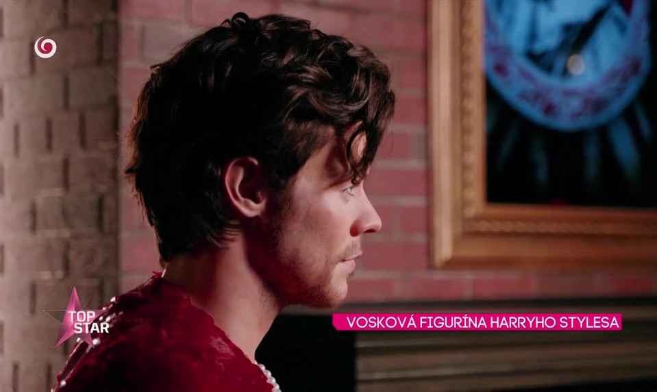 VOSKOVÁ FIGURÍNA HARRYHO STYLESA
