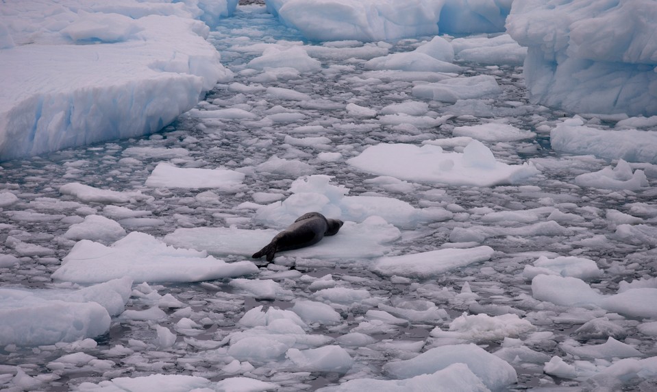 Arktída sa dostáva do plánov NATO, aliancia posilní svoju prítomnosť