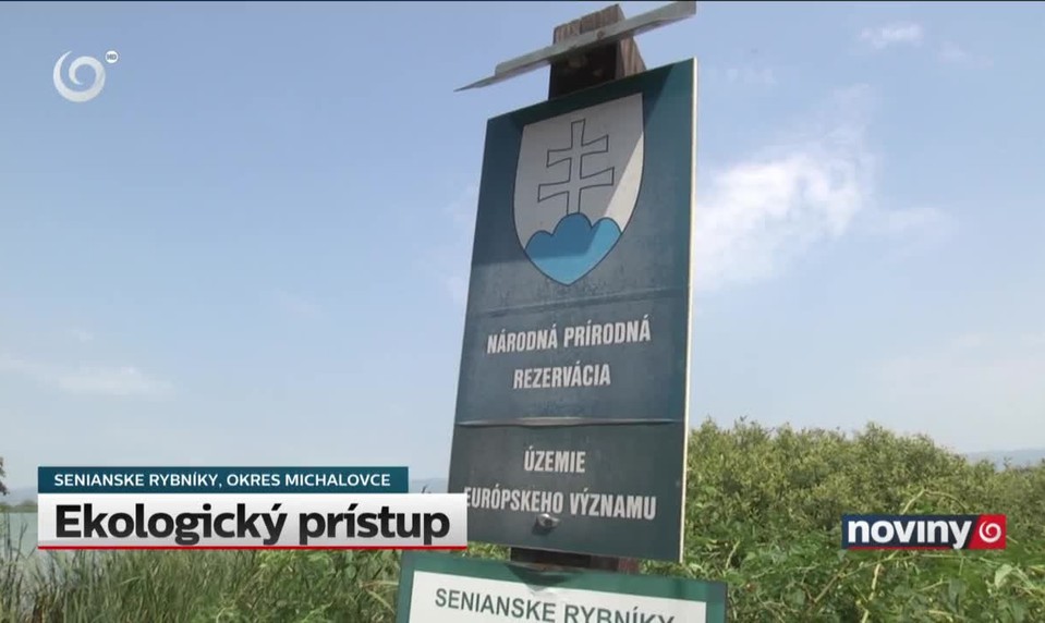 Ekologický prístup