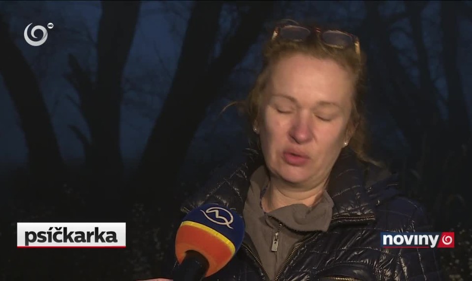 Pátranie po nezvestnej žene