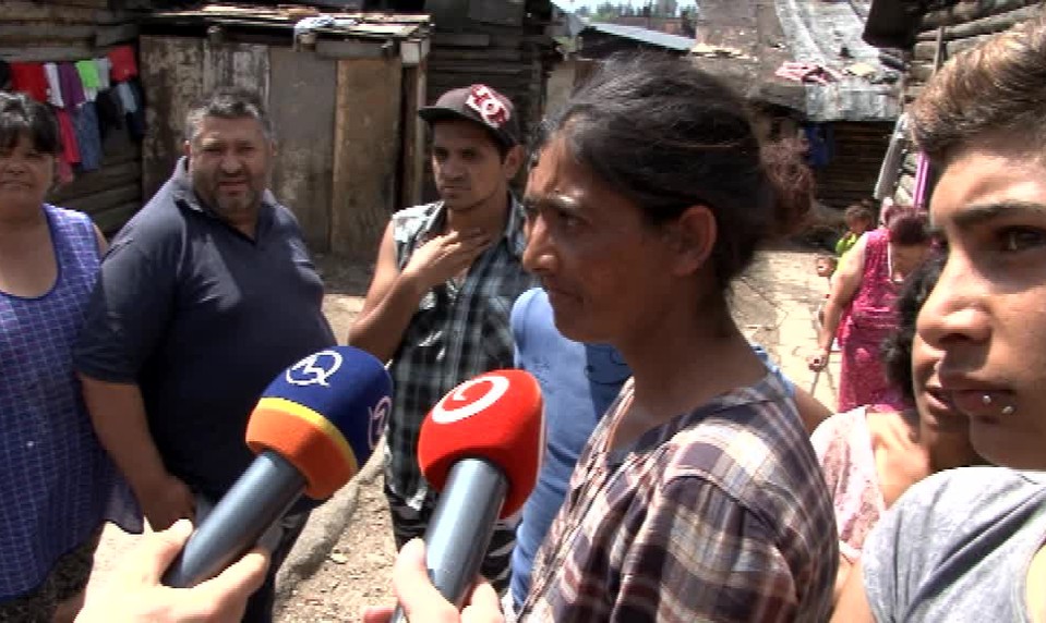 Osada pod Tatrami je plná divých psov