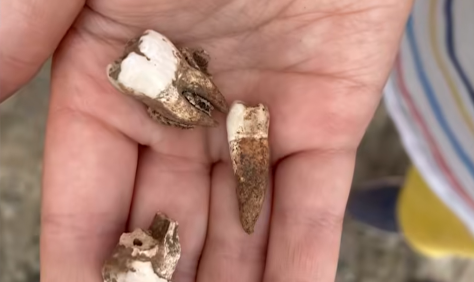 Chlapec (7) našiel na pláži zuby: Archeológovia potom odhalili masový hrob