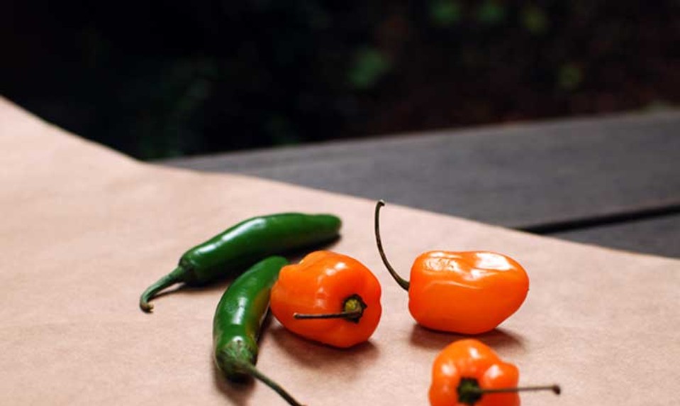 Aj oči by jedli: Týchto 10 potravín je výborných pre váš zrak