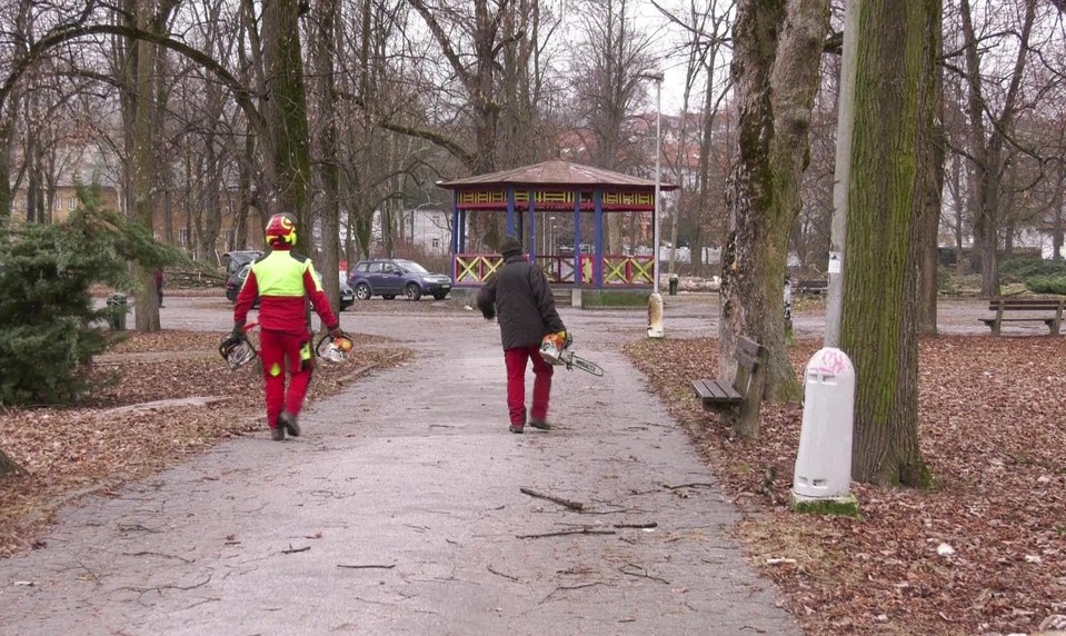 V historickom parku v Banskej Bystrici vyrúbali takmer 150 stromov, zásah vyvolal kritiku