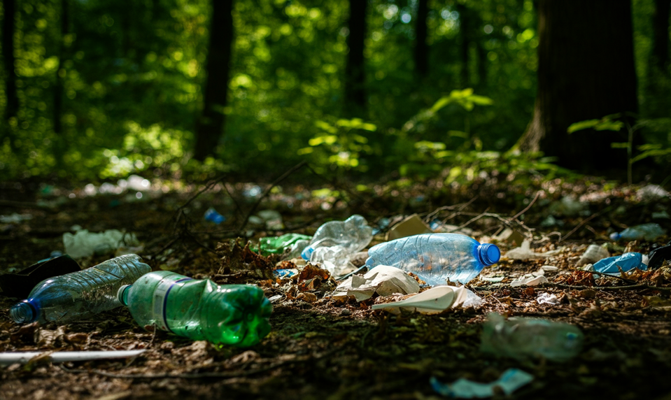 "Hnojím stromy," tvrdil senior, ktorý v Plzni znečisťoval les odpadom