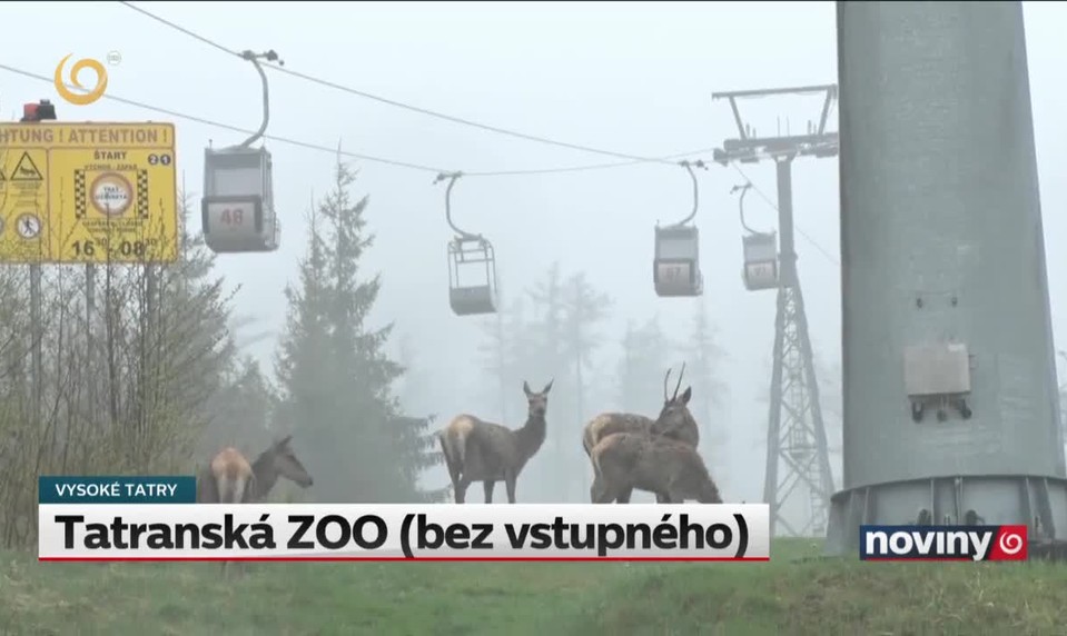 Tatranská ZOO (bez vstupného)