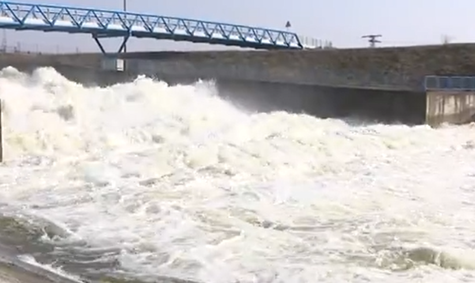 Dunajské luhy ožili: Umelé záplavy oživujú staré ramená Dunaja