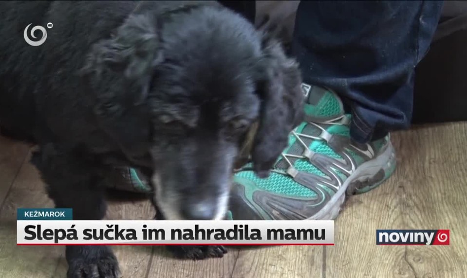 Slepá sučka im nahradila mamu