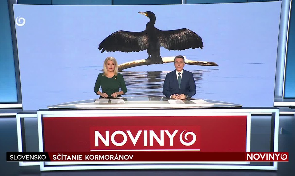 DEMONŠTRANTI OBSADILI BUDOVU SÚDU