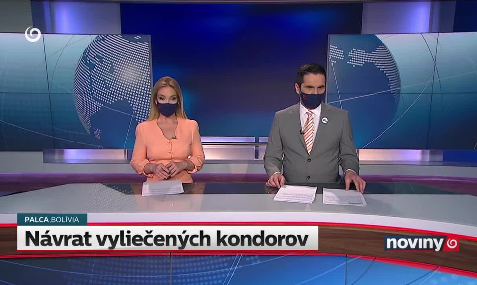 Návrat vyliečených kondorov