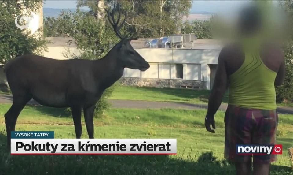 Pokuty za kŕmenie zvierat