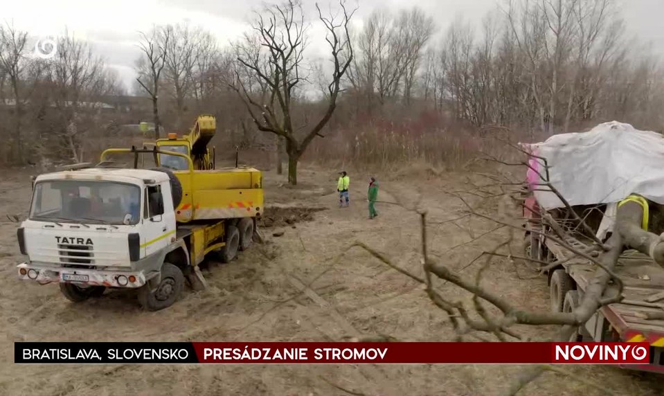 PRESÁDZANIE STROMOV