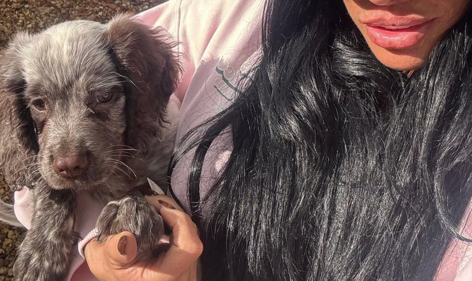 Domáci miláčikovia jej miznú alebo zomierajú! A teraz sa hviezdna kráska chce zbaviť ďalšich!