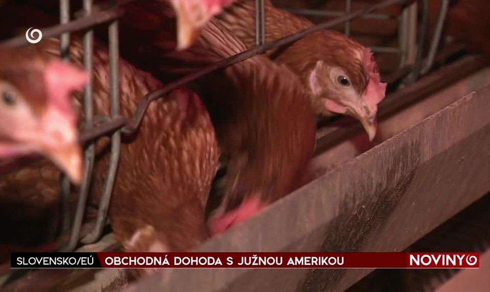 OBCHODNÁ DOHODA S JUŽNOU AMERIKOU