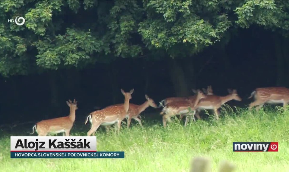 Bratislavské safari