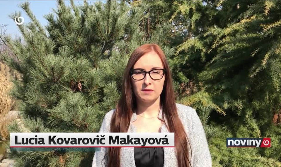 Pandémia pekne nakopala priemysel