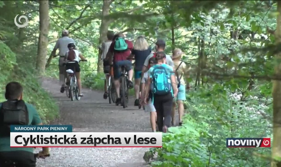 Cyklistická zápcha v lese