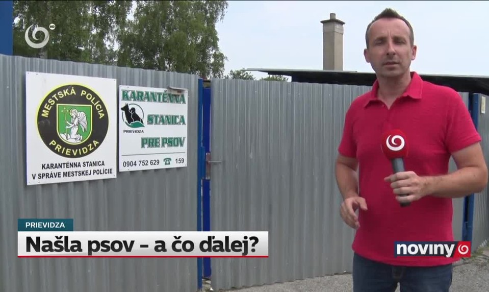 Našla psov - a čo ďalej?