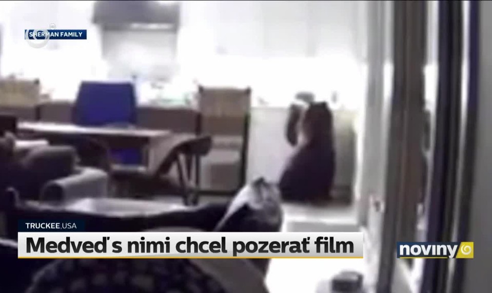 Medveď s nimi chcel pozerať film