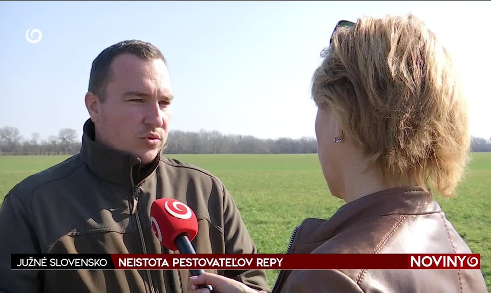 NEISTOTA PESTOVATEĽOV REPY