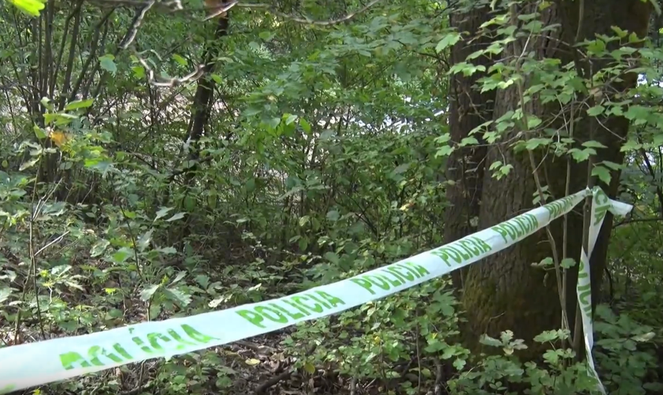 Turista našiel v lese pri Starej Turej kostrové pozostatky. V lese mohli ležať celé roky