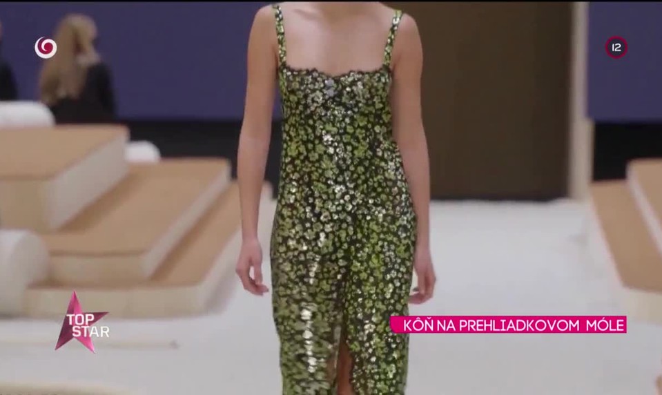 KÔŇ NA PREHLIADKOVOM  MÓLE